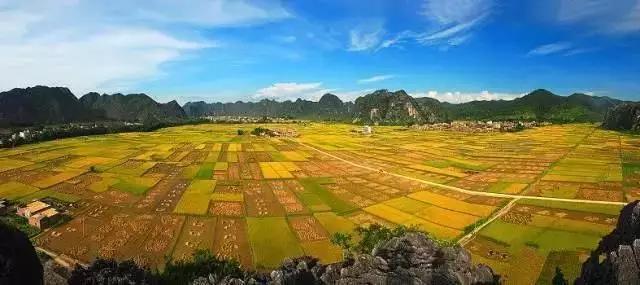 中國經(jīng)濟(jì)體制改革基金會全國第一！中國改革熱度第三方評估出爐，云浮宣傳系數(shù)在全國343個(gè)城市居首位                             