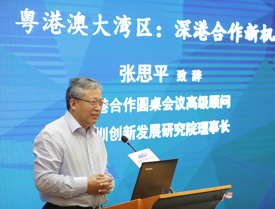 中國經(jīng)濟(jì)體制改革基金會張思平：在粵港澳大灣區(qū)再造幾個(gè)香港                                                                  